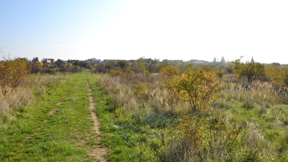 ✅ SOLD: Sunny plot of land Pezinok 3030 m2, Rozálka