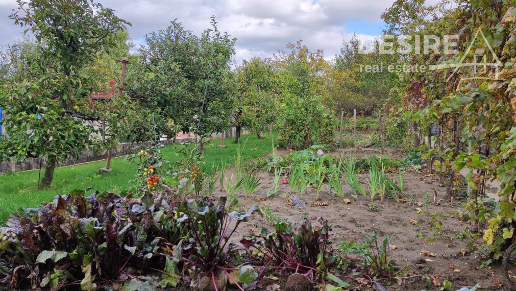 ✅PREDANÉ: Udržiavaný 3 izbový rodinný dom, garáž, Pezinok širšie centrum