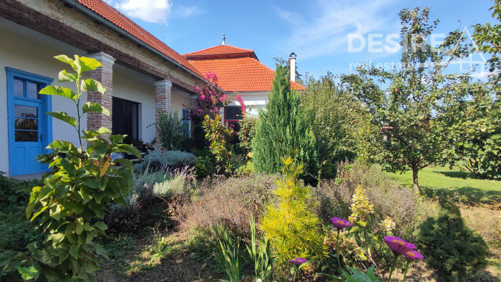 Zemianska kúria vhodná na bývanie a podnikanie, veľký pozemok, Nové Zámky - Komoča,