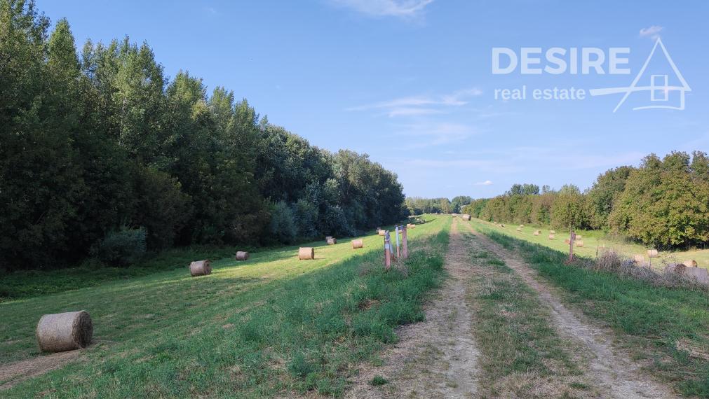 Zemianska kúria vhodná na bývanie a podnikanie, veľký pozemok, Nové Zámky - Komoča,