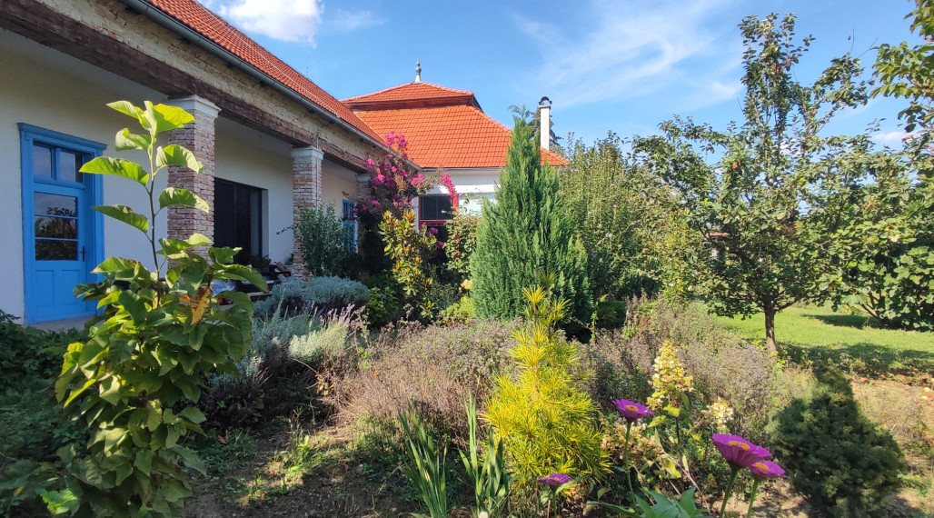 Bývajte a podnikajte: Zemianska kúria, veľký pozemok, rekonštrukcia, Nové Zámky - Komoča