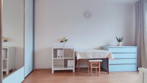 Kompletne zariadený 1 izb.byt s balkónom, Nitra,  Alexyho ul. - fotografia 5