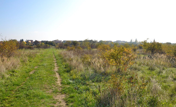 ✅ SOLD: Sunny plot of land Pezinok 3030 m2, Rozálka - fotografia 1