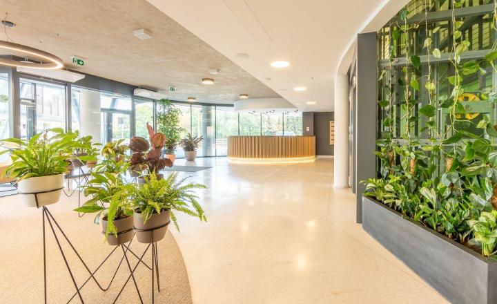 Prenájom: Telocvičňa výmera 360 m2, parkovanie, Röntgenova ul., Bratislava - fotografia 6