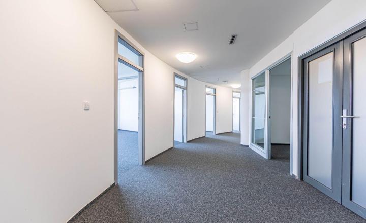 Prenájom: Telocvičňa výmera 360 m2, parkovanie, Röntgenova ul., Bratislava - fotografia 3