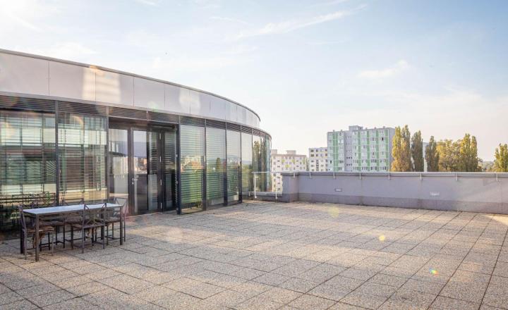 Prenájom: Telocvičňa výmera 360 m2, parkovanie, Röntgenova ul., Bratislava - fotografia 13
