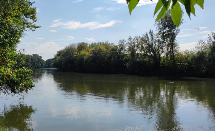 Zemianska kúria vhodná na bývanie a podnikanie, veľký pozemok, Nové Zámky - Komoča, - fotografia 32