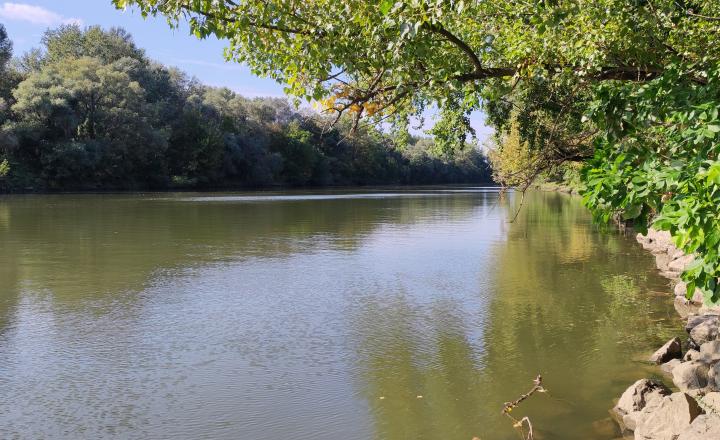 Zemianska kúria vhodná na bývanie a podnikanie, veľký pozemok, Nové Zámky - Komoča, - fotografia 33