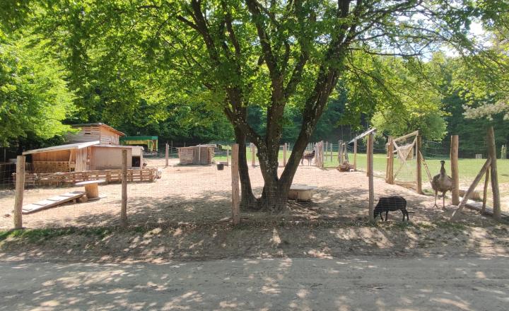 Relaxujte a zarábajte: 2 rekreačné chaty na predaj v lesnom prostredí Strážovských vrchov - fotografia 20