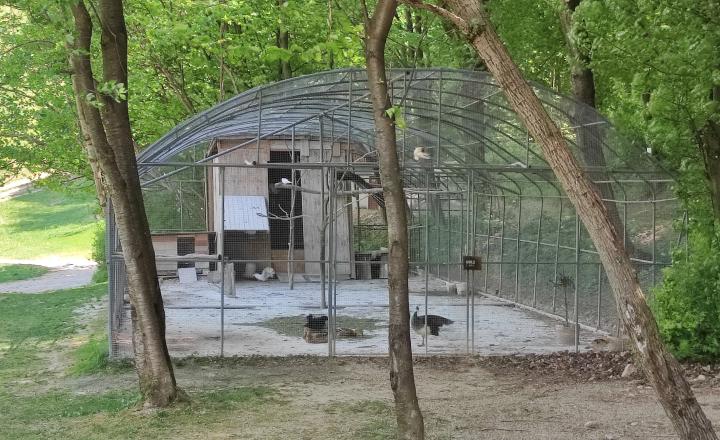 Relaxujte a zarábajte: 2 rekreačné chaty na predaj v lesnom prostredí Strážovských vrchov - fotografia 21