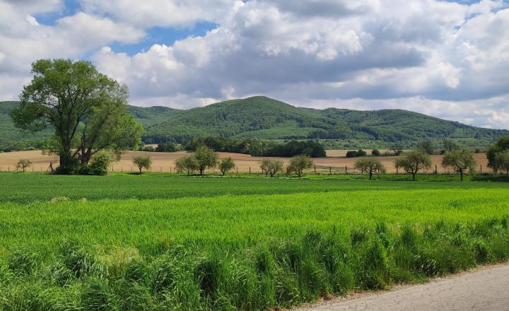Relaxujte a zarábajte: 2 rekreačné chaty na predaj v lesnom prostredí Strážovských vrchov - fotografia 22